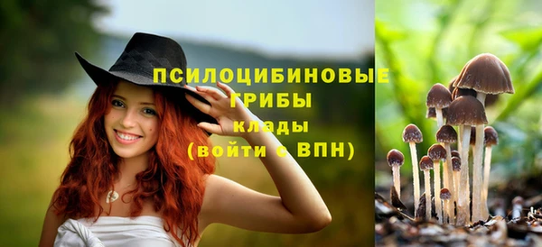 молекула духа Вязьма