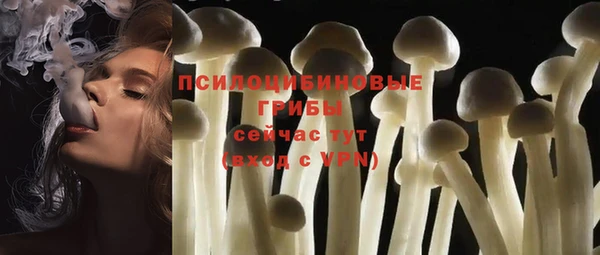молекула духа Вязьма