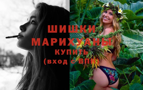 молекула духа Вязьма