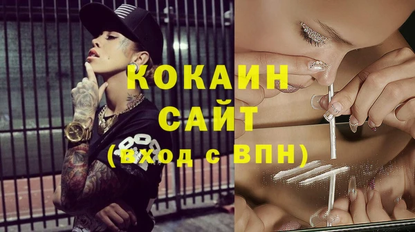 молекула духа Вязьма