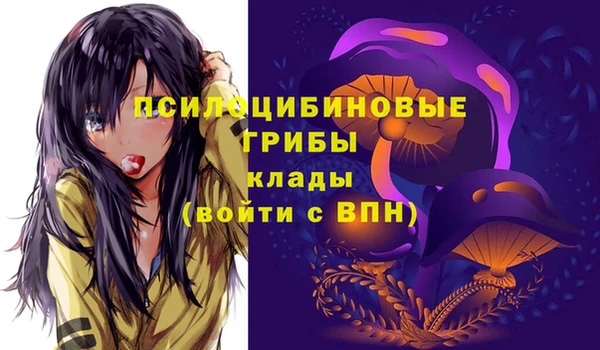 синтетический гашиш Вяземский