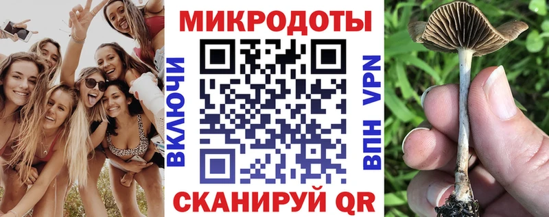 Купить  Каргат  Галлюциногенные грибы Cubensis 